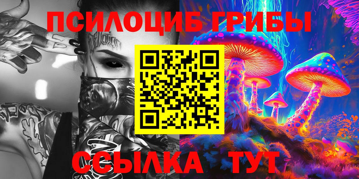 Ачхой-Мартан  где найти наркотики  Вход с VPN  Псилоцибиновые грибы Psilocybe 