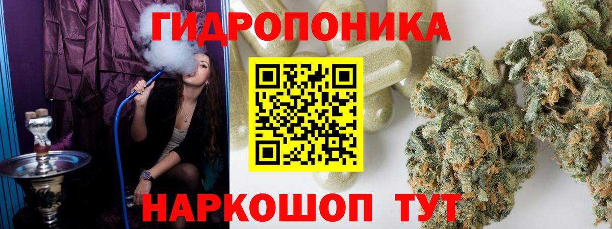 Ачхой-Мартан  Конопля семена  Бошки Шишки семена  Бошки Шишки THC 21%  Каннабис планчик  Вход с VPN 