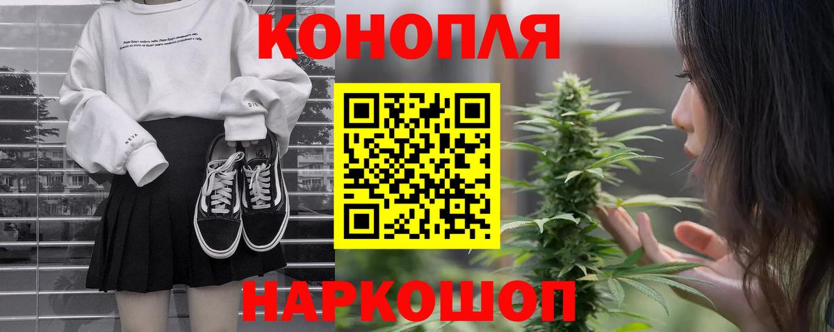 Шишки марихуана сатива Ачхой-Мартан
